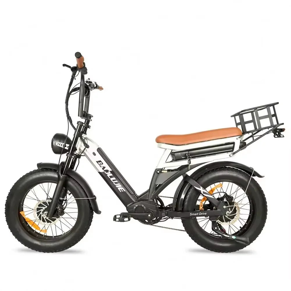 2000W 48V 30AH High Performance 48V Hydraulic Mountain Off-Road Electric Bicycle
