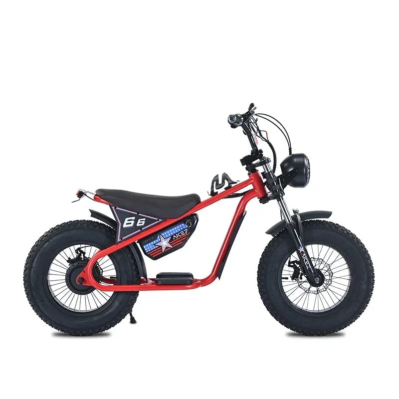 Electric Balance Bike 36V 350W15AH Battery Disc Brake