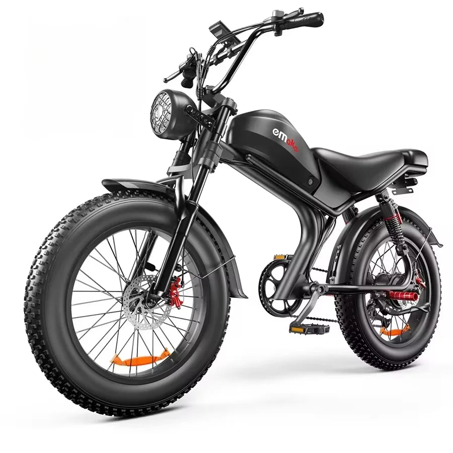 Model C93 2000W Dual Motor 48V 23AH Lithium Battery Adult Electric Bike