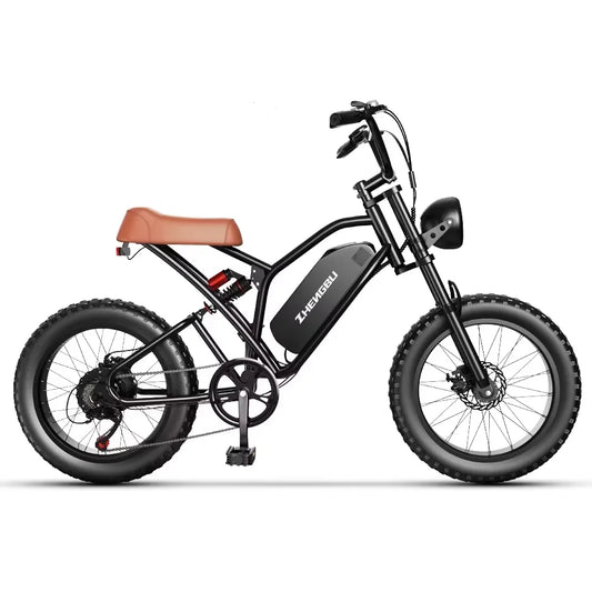1000W 48V 25AH Ebike