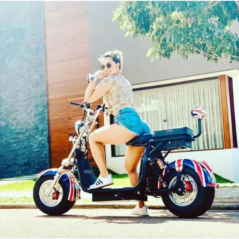 Steel Frame Electric Scooters