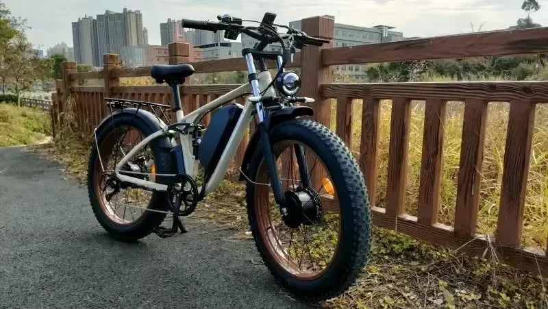2000W Dual Motor 48V 22.4AH Battery Adult Electric Bike
