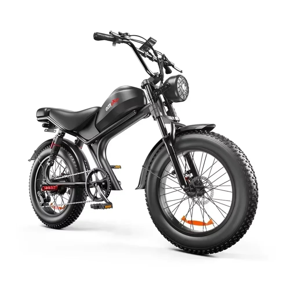 Model C93 2000W Dual Motor 48V 23AH Lithium Battery Adult Electric Bike