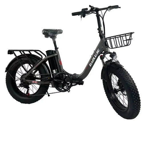 48V16AH Battery Folding Electric Bike