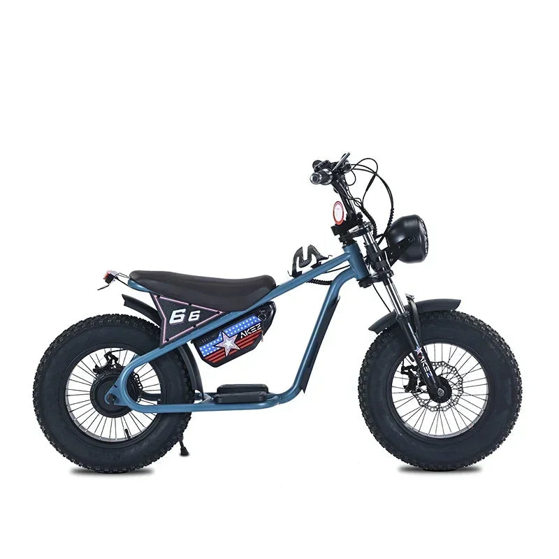 Electric Balance Bike 36V 350W15AH Battery Disc Brake