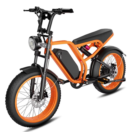 Movable Battery 20*4 Fat Tire Electric Bike