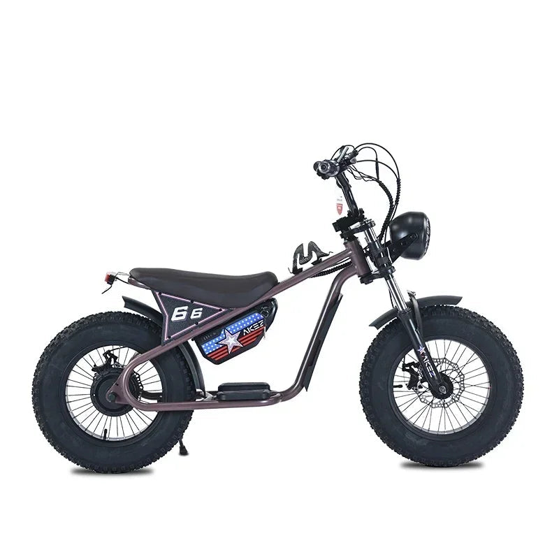 Electric Balance Bike 36V 350W15AH Battery Disc Brake