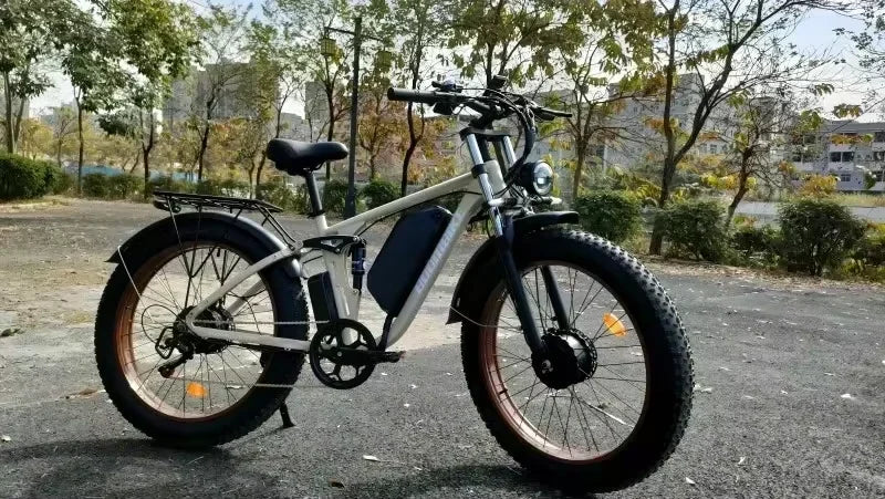 2000W Dual Motor 48V 22.4AH Battery Adult Electric Bike