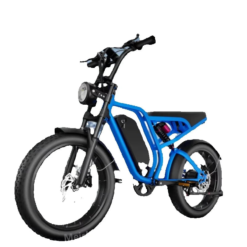 Movable Battery 20*4 Fat Tire Electric Bike