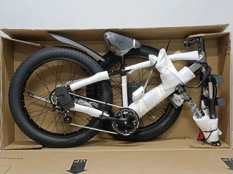 2000W Motor 48V 20AH Electric Bike